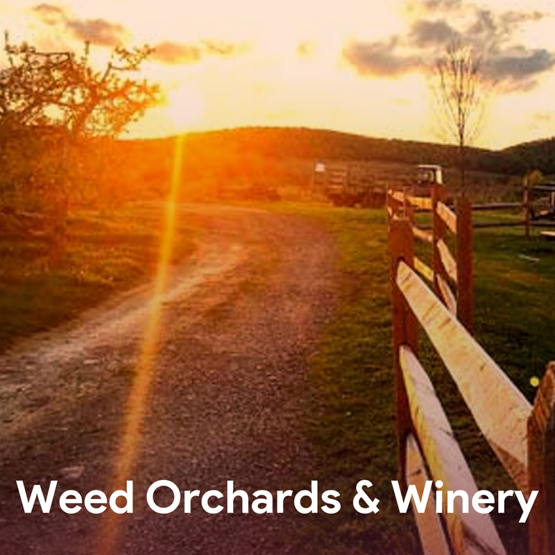 Weed Orcgards & Winery - Hudson Valley Wineries