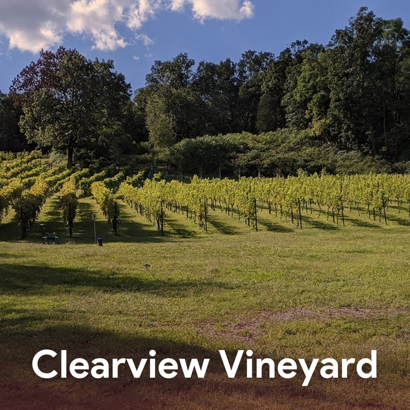 Clearview Vineyard - Hudson Valley Wineries