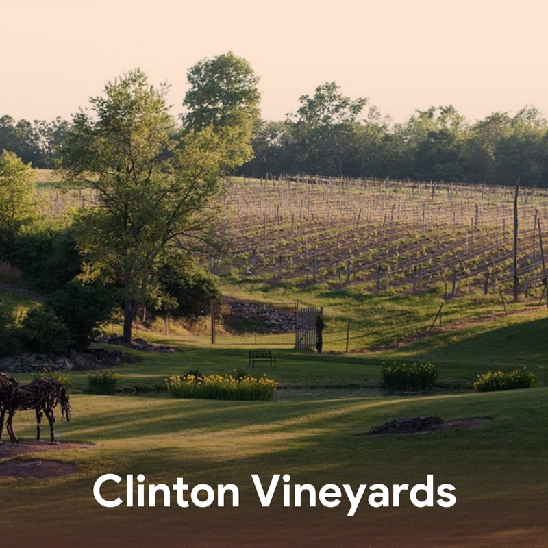 Clinton Vineyards - Best Hudson Valley Wineries