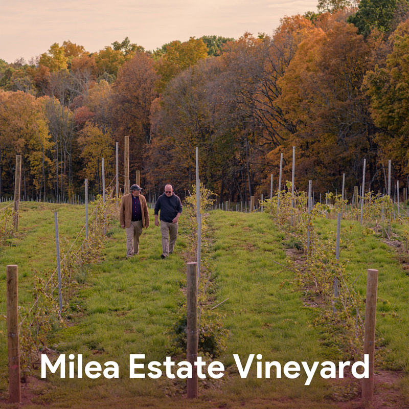 Milea Estate Vineyard - Best Hudson Valley Wineries