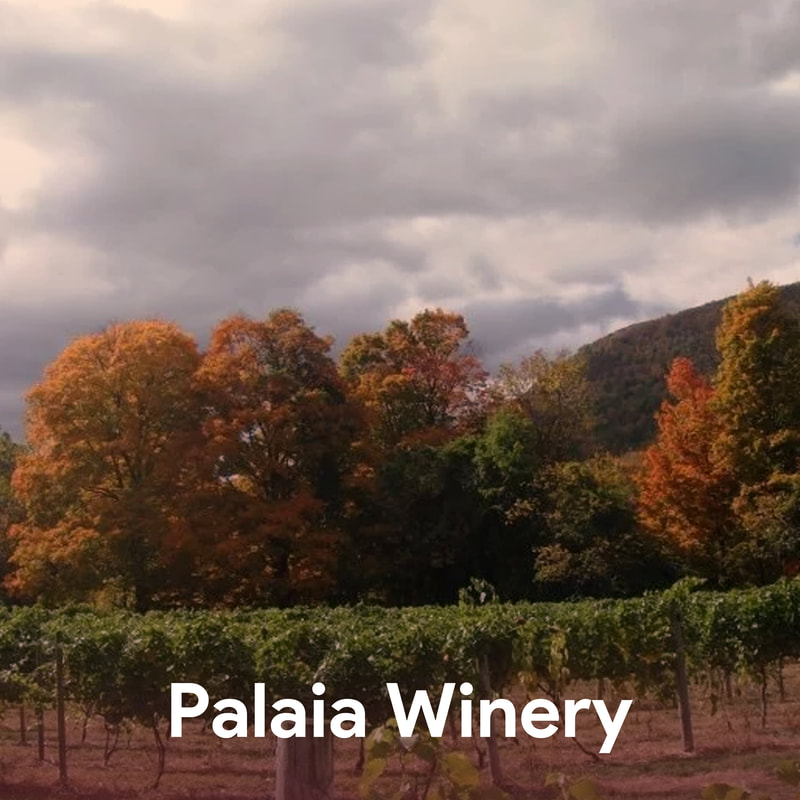 Palaia Winery - Hudson Valley Wineries