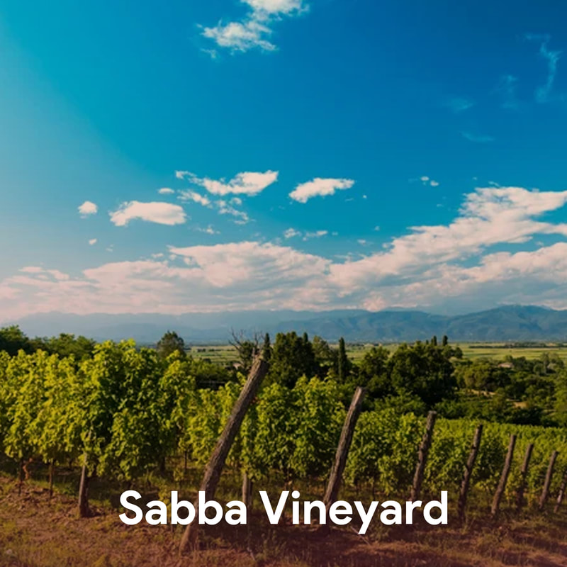 Sabba Vineyard - Best Hudson Valley Wineries