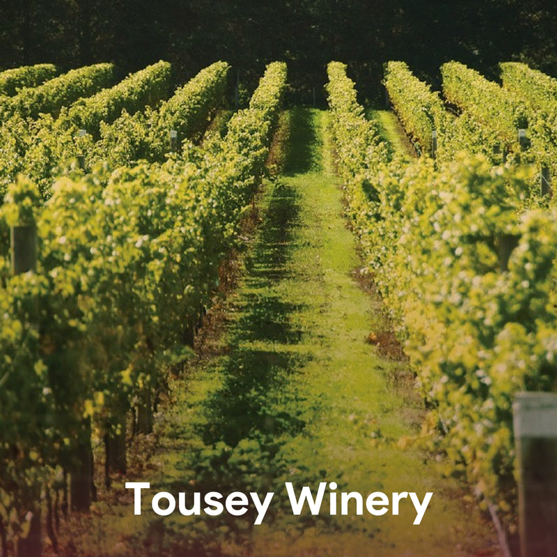 Tousey Winery - Best Hudson Valley Wineries