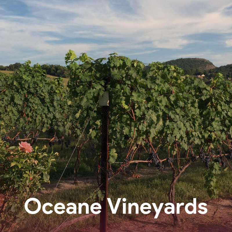 Oceane Vineyards - Hudson Valley Wineries