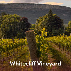 Whitecliff Vineyard - Hudson Valley Wineries